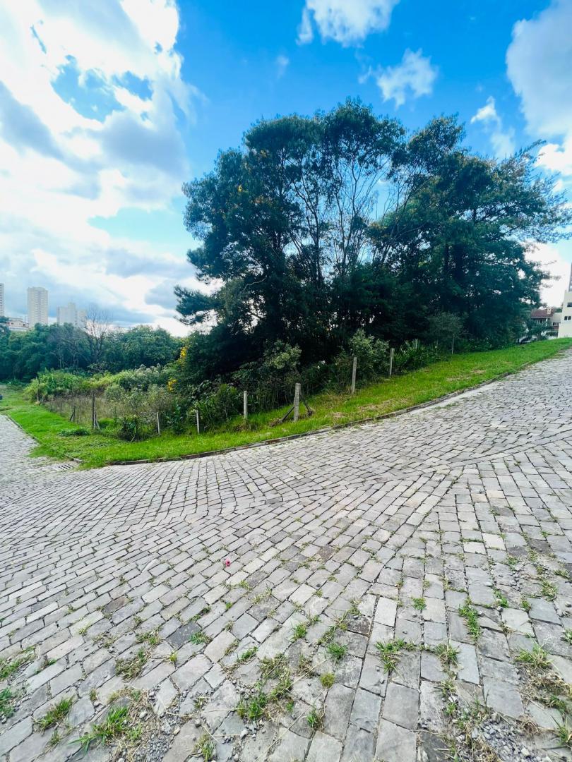 Banner Página
