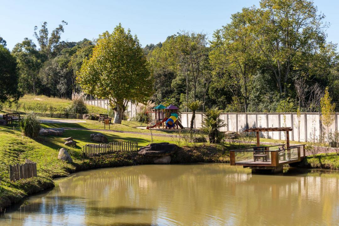 Banner Página
