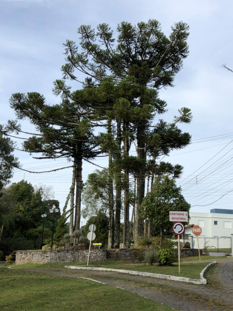 Banner Página