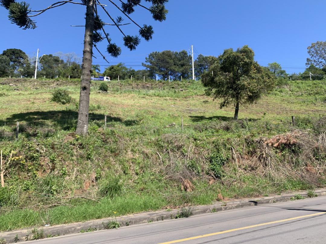 Banner Página