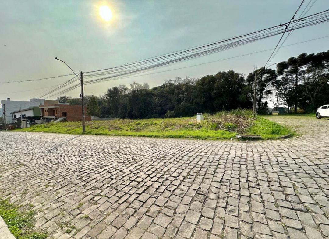 Banner Página
