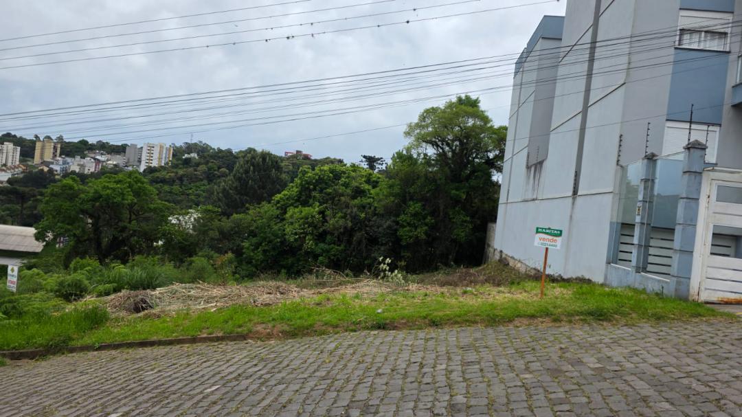 Banner Página