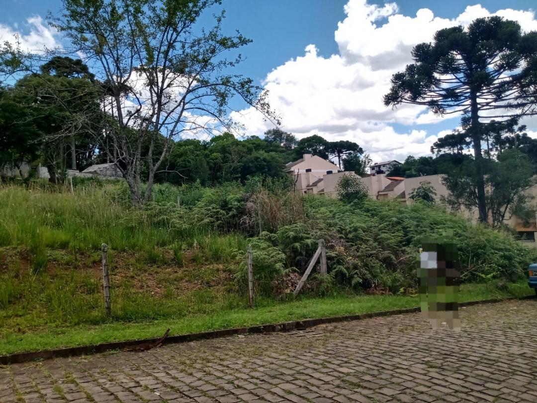Banner Página