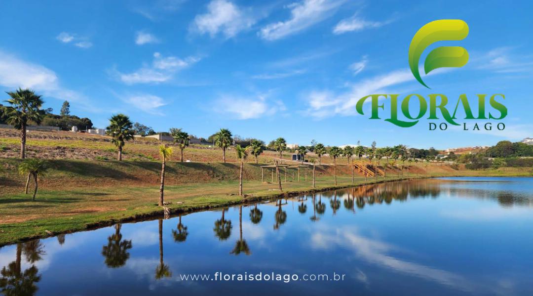 Banner Página
