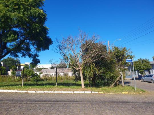 Terreno à venda no bairro São Luiz, Farroupilha, Referencia: 1227