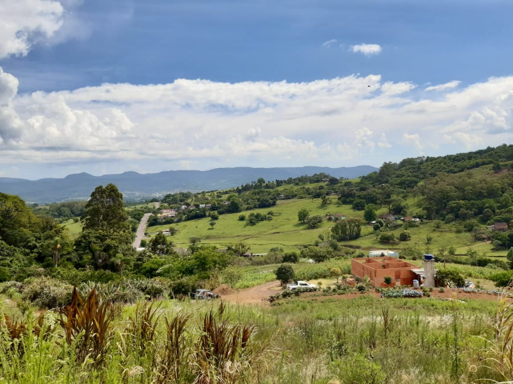 Banner Página