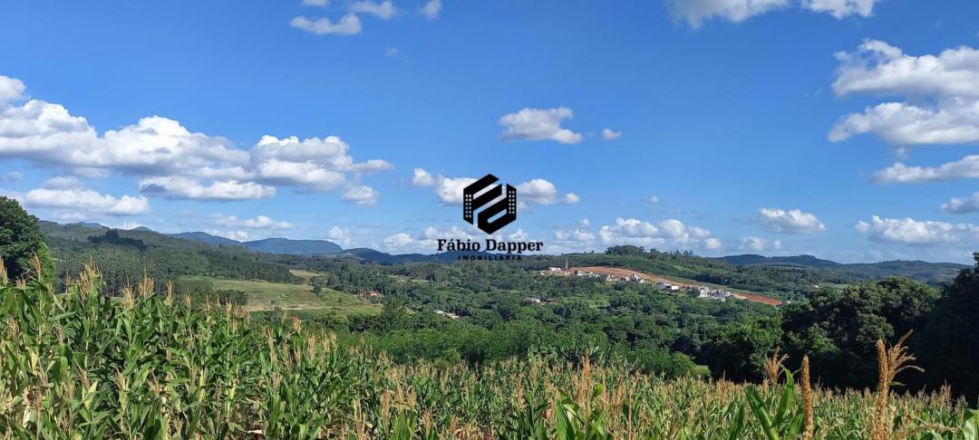 Banner Página