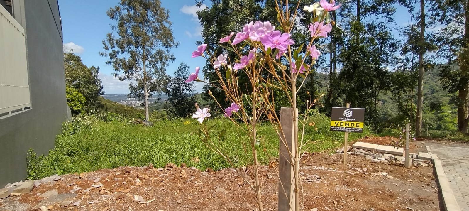 Banner Página