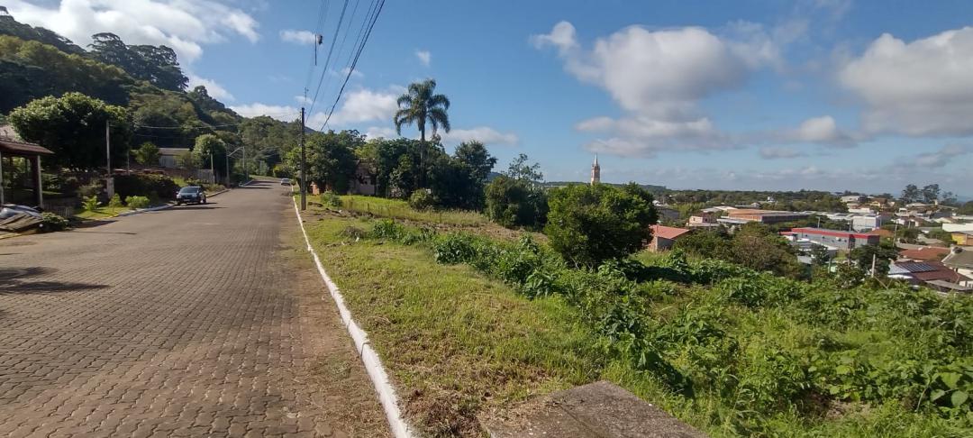 Banner Página