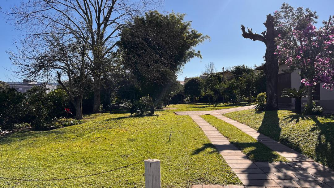 Banner Página