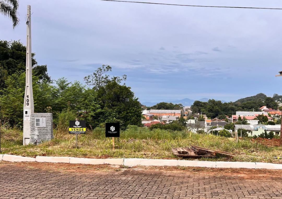 Banner Página