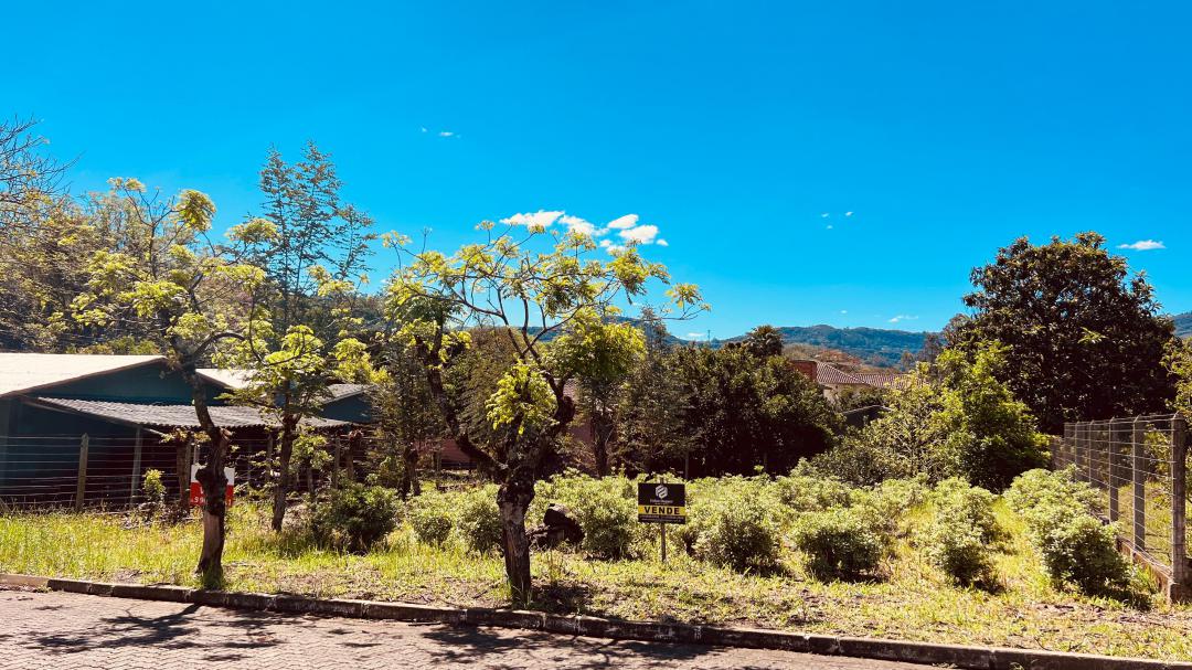 Banner Página