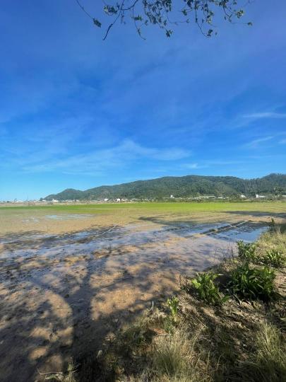 Terreno à venda no bairro Espinheiros, Itajaí, Referencia: TE3012