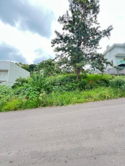 Terreno à venda no bairro Dona Augusta, Campo Bom, Referencia: 214