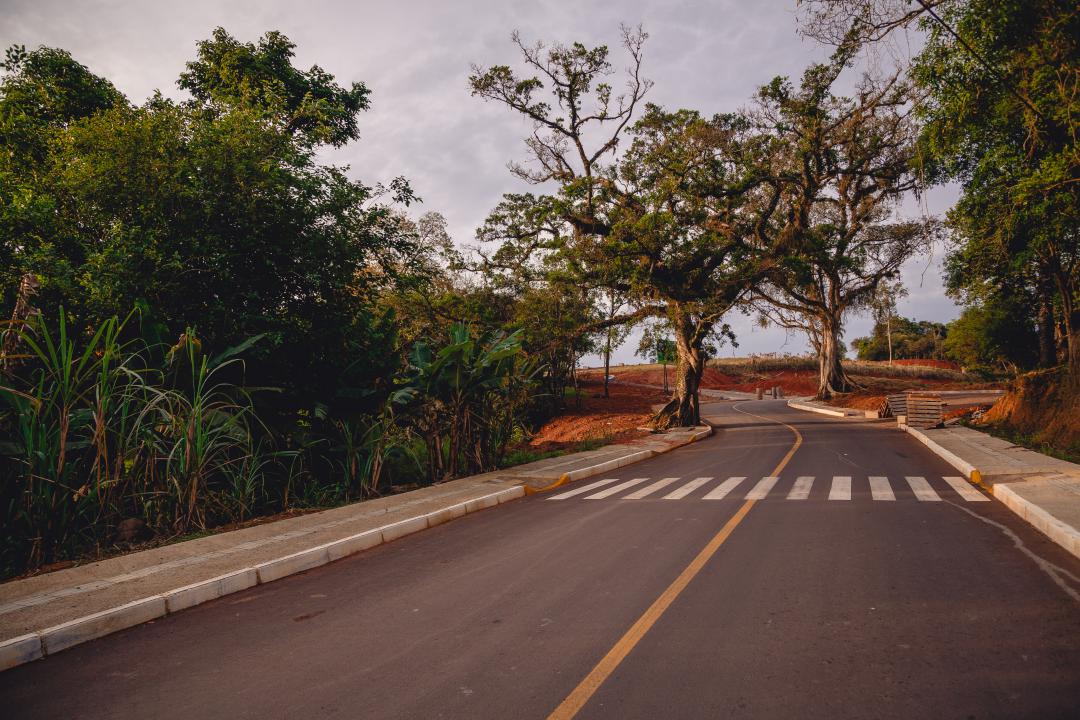 Banner Página