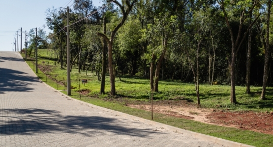 Banner Página