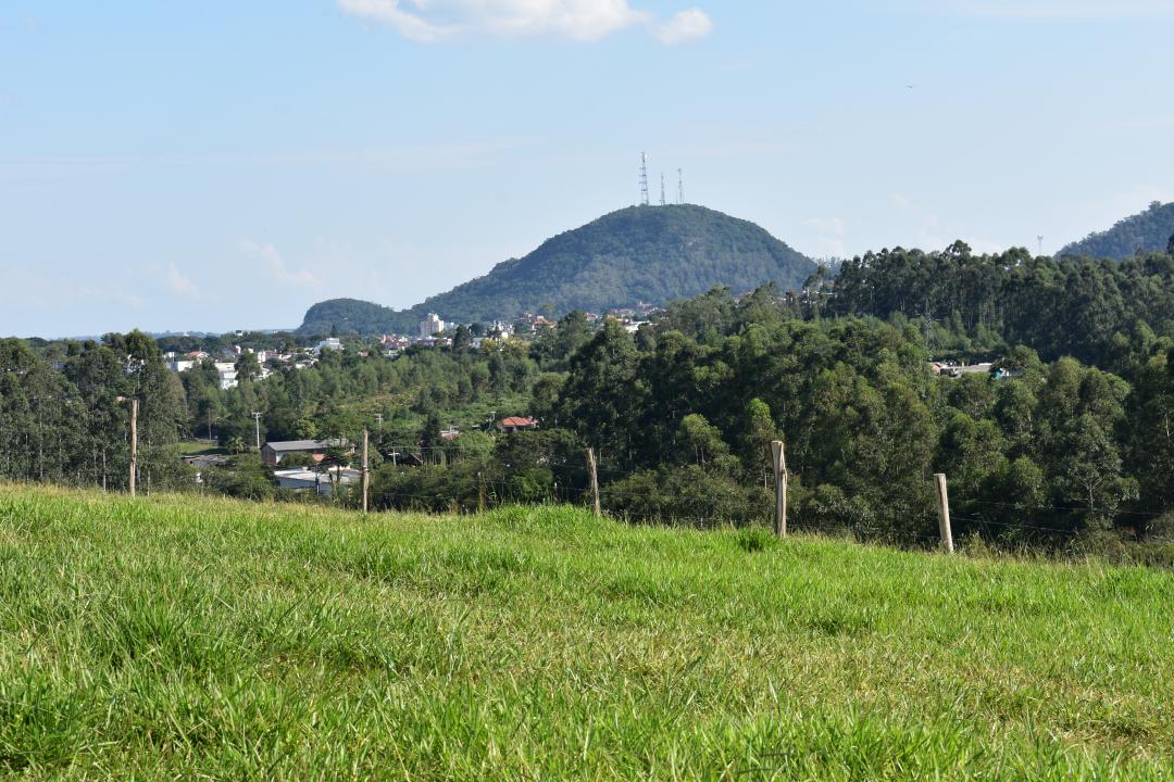 Banner Página