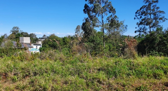 Banner Página