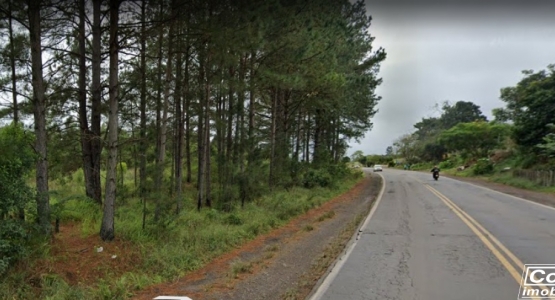Banner Página