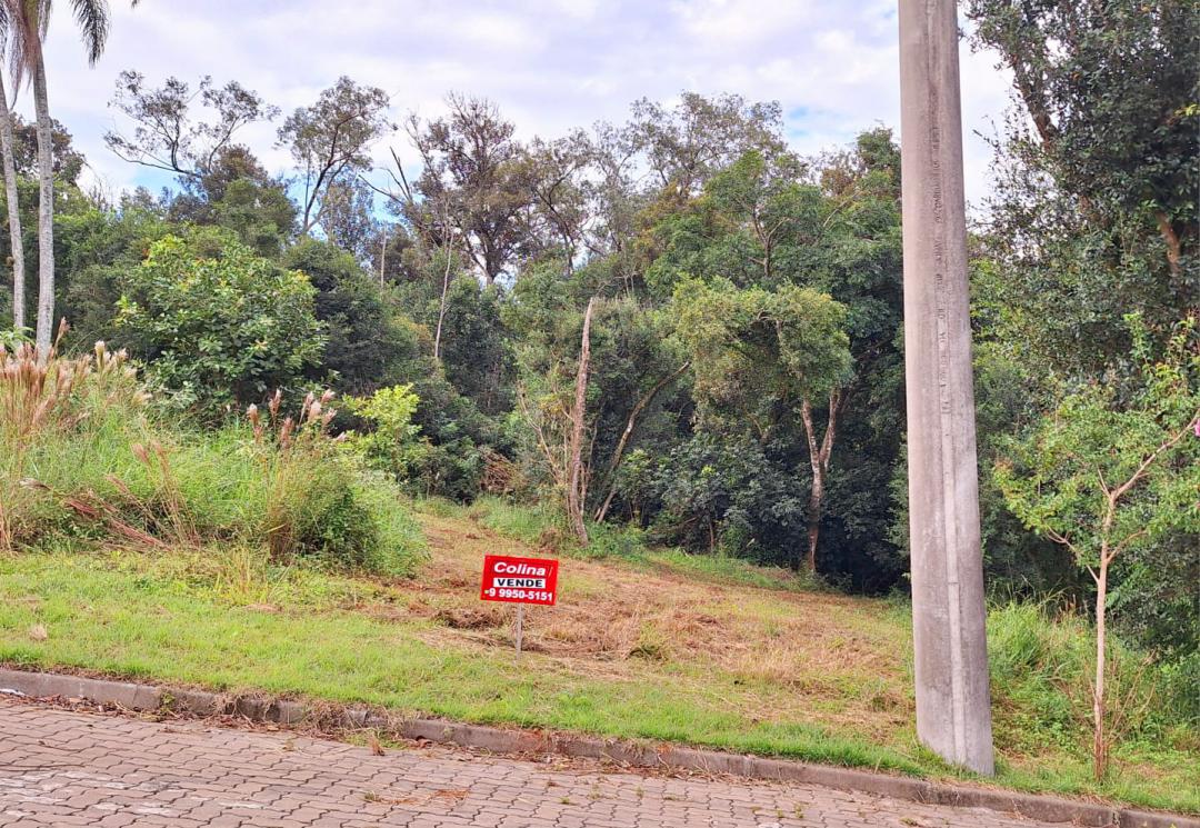 Banner Página