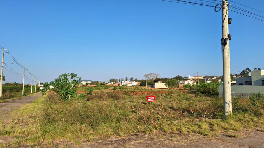 Banner Página