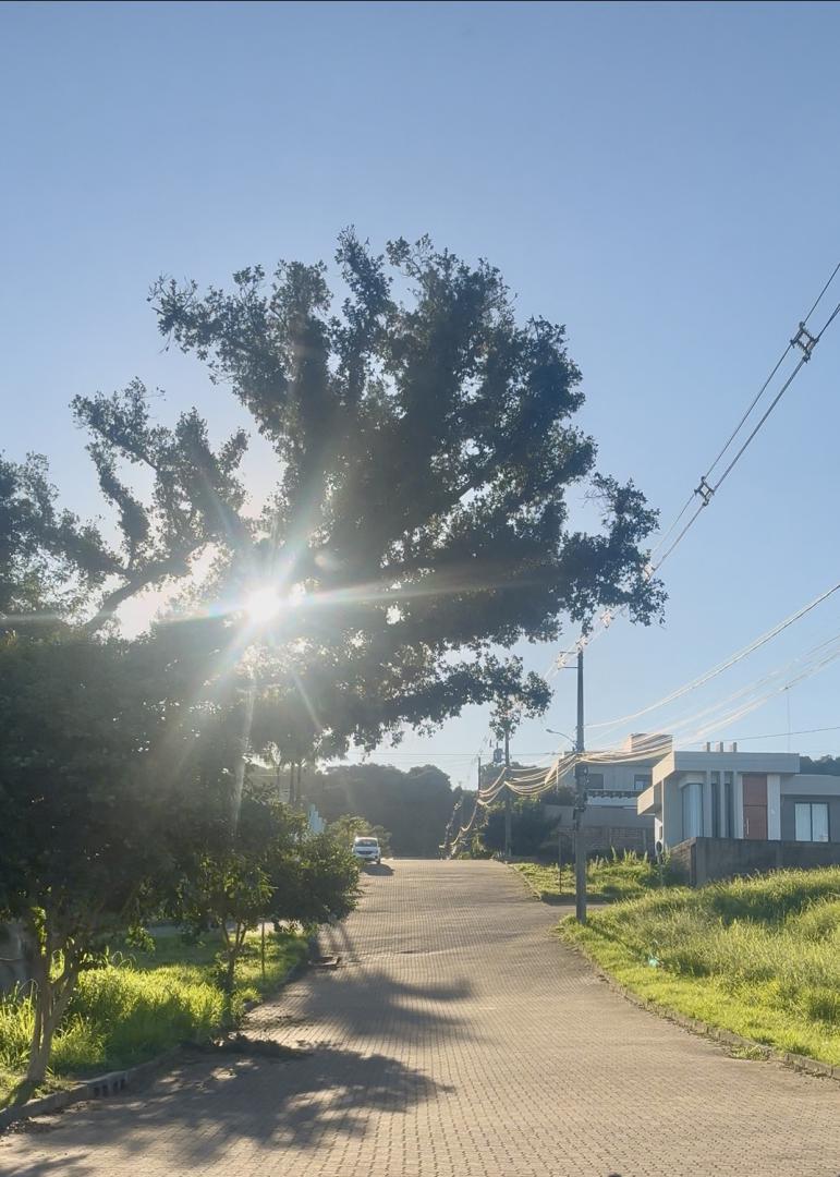 Banner Página