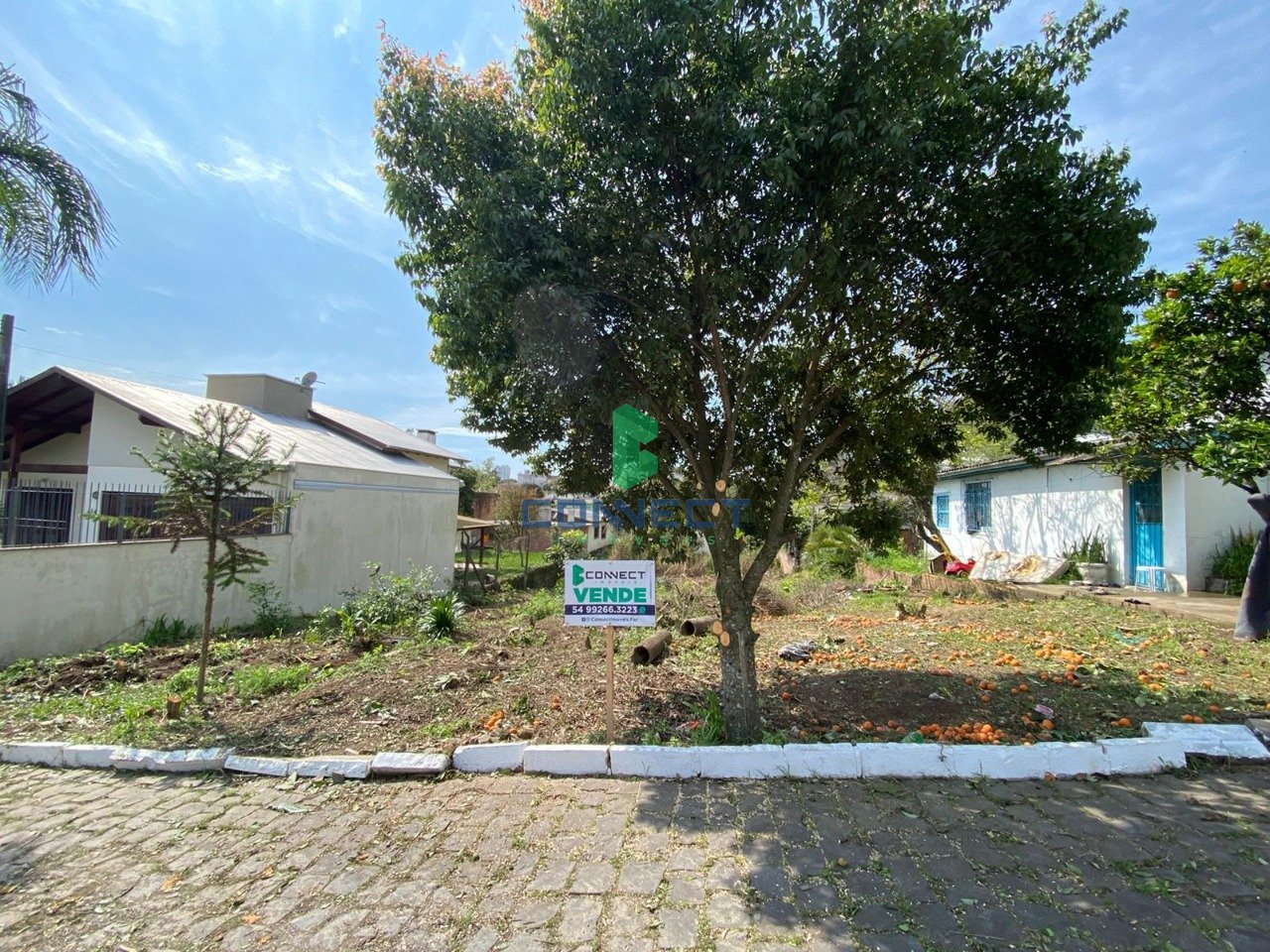Banner Página
