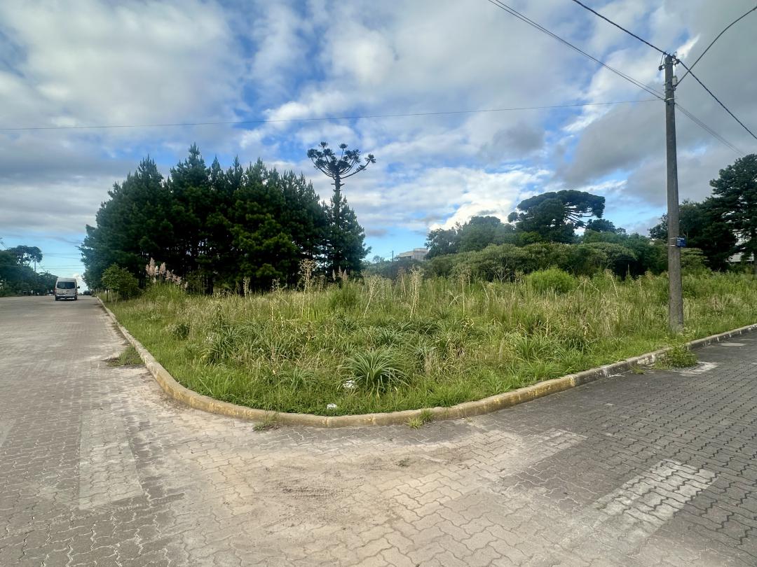 Banner Página