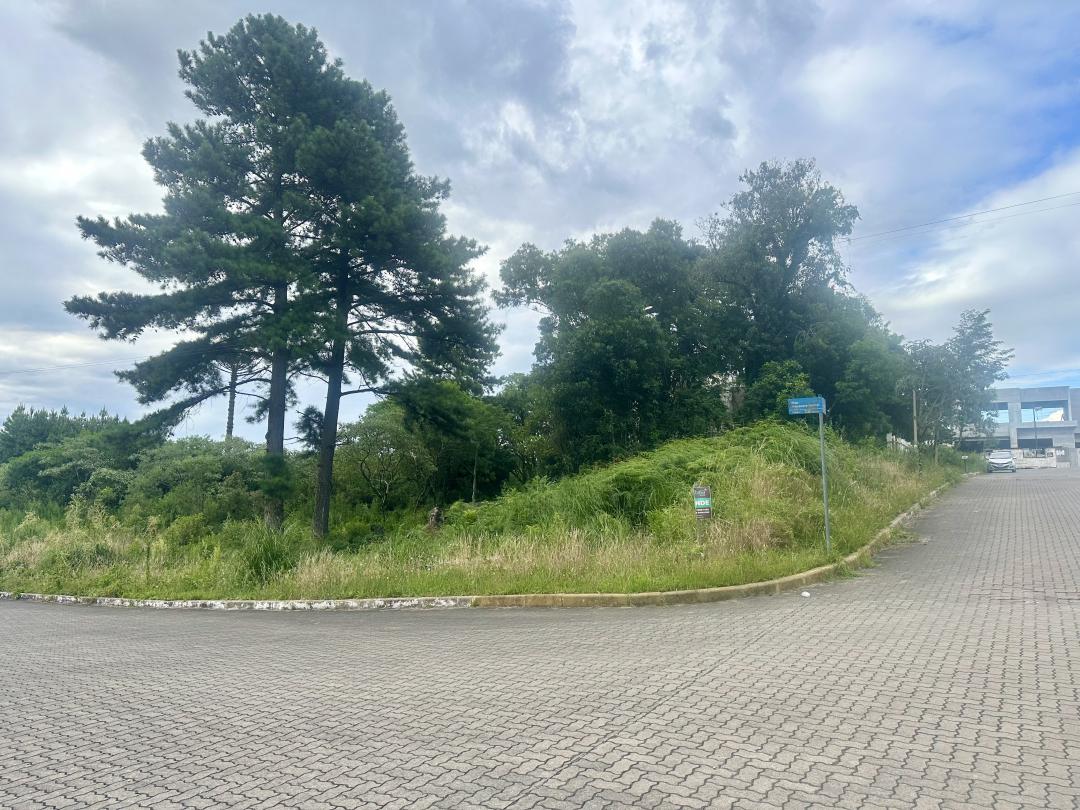 Banner Página