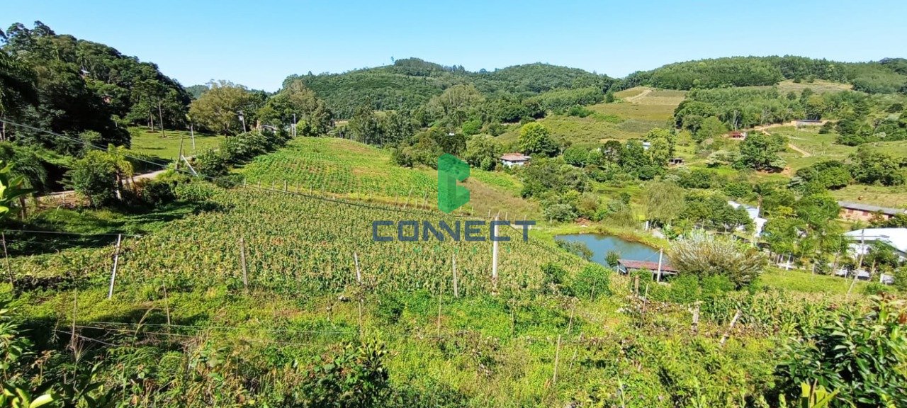 Banner Página