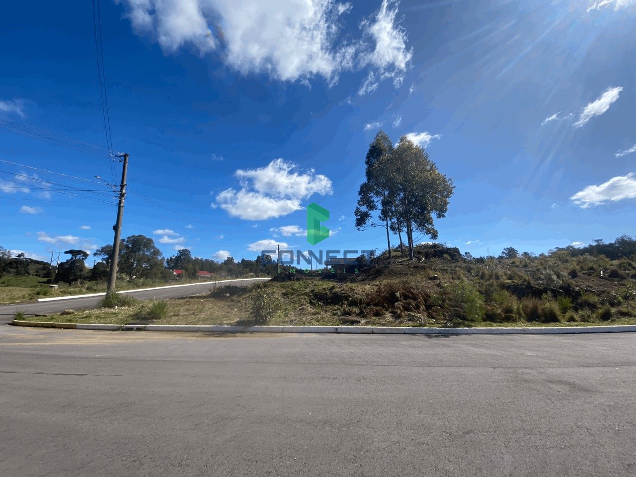 Banner Página