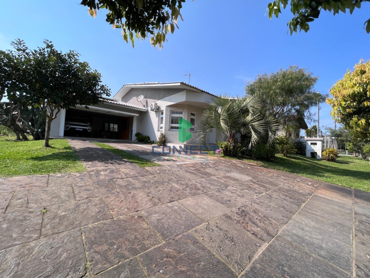 Banner Página