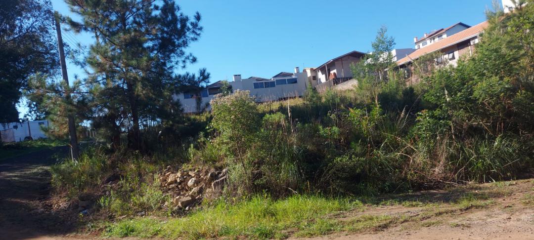 Banner Página