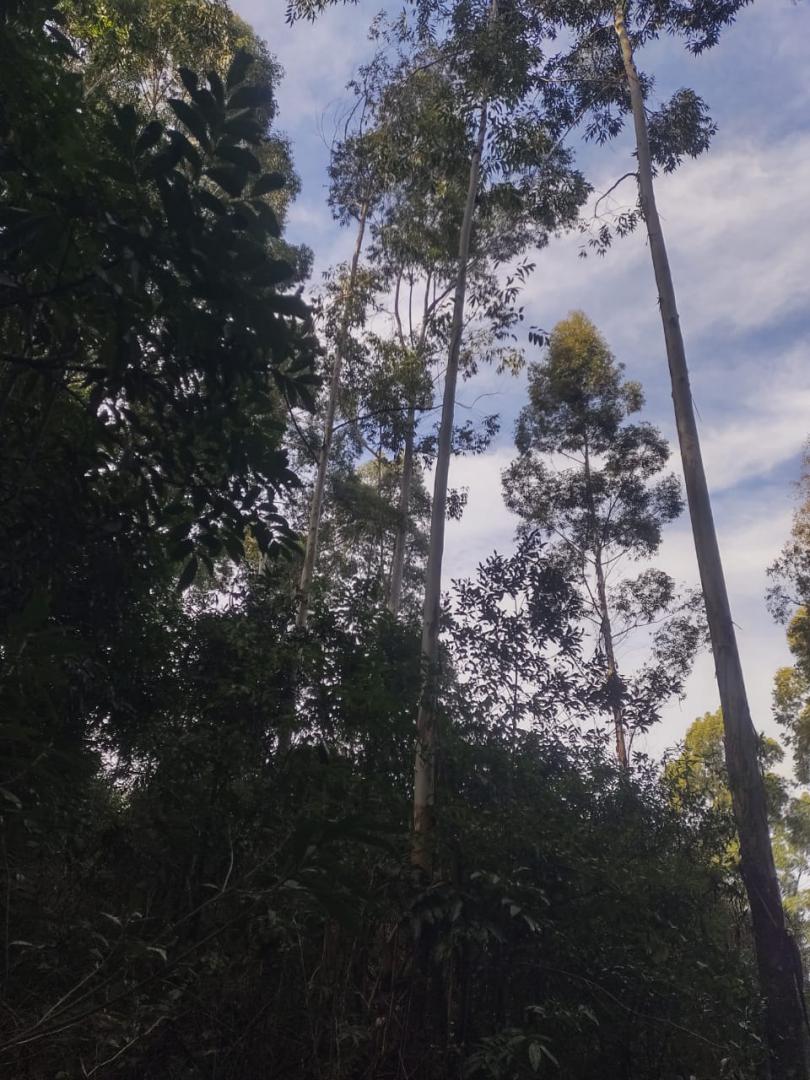 Banner Página