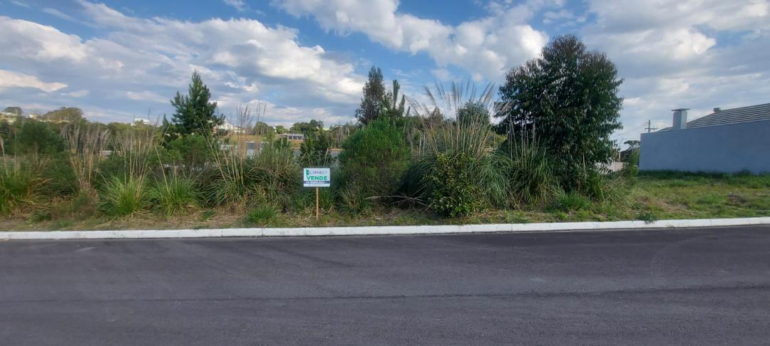 Banner Página