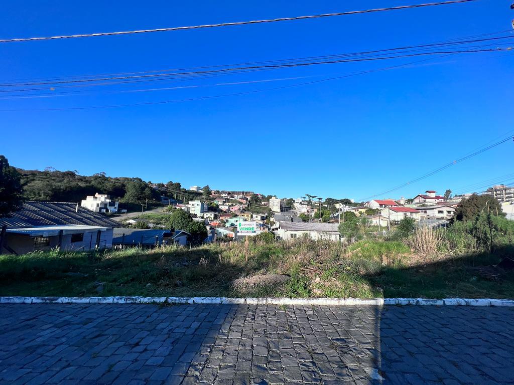 Banner Página