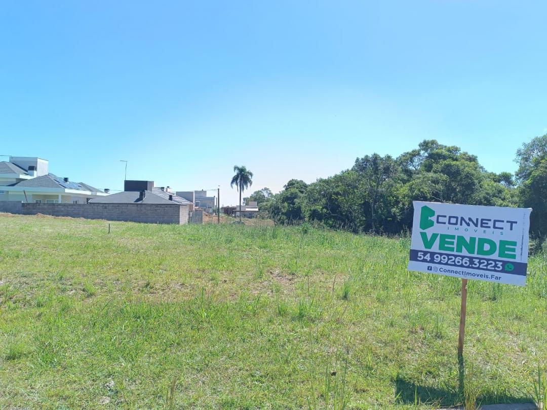 Banner Página