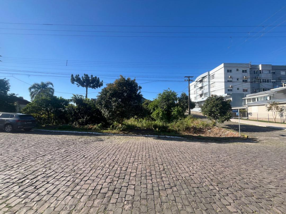 Banner Página