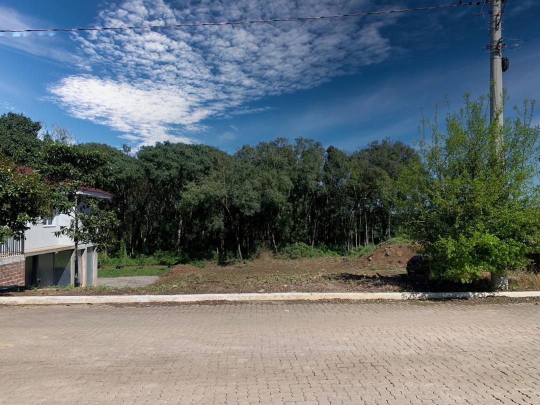 Banner Página