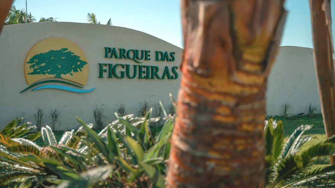 Banner Página