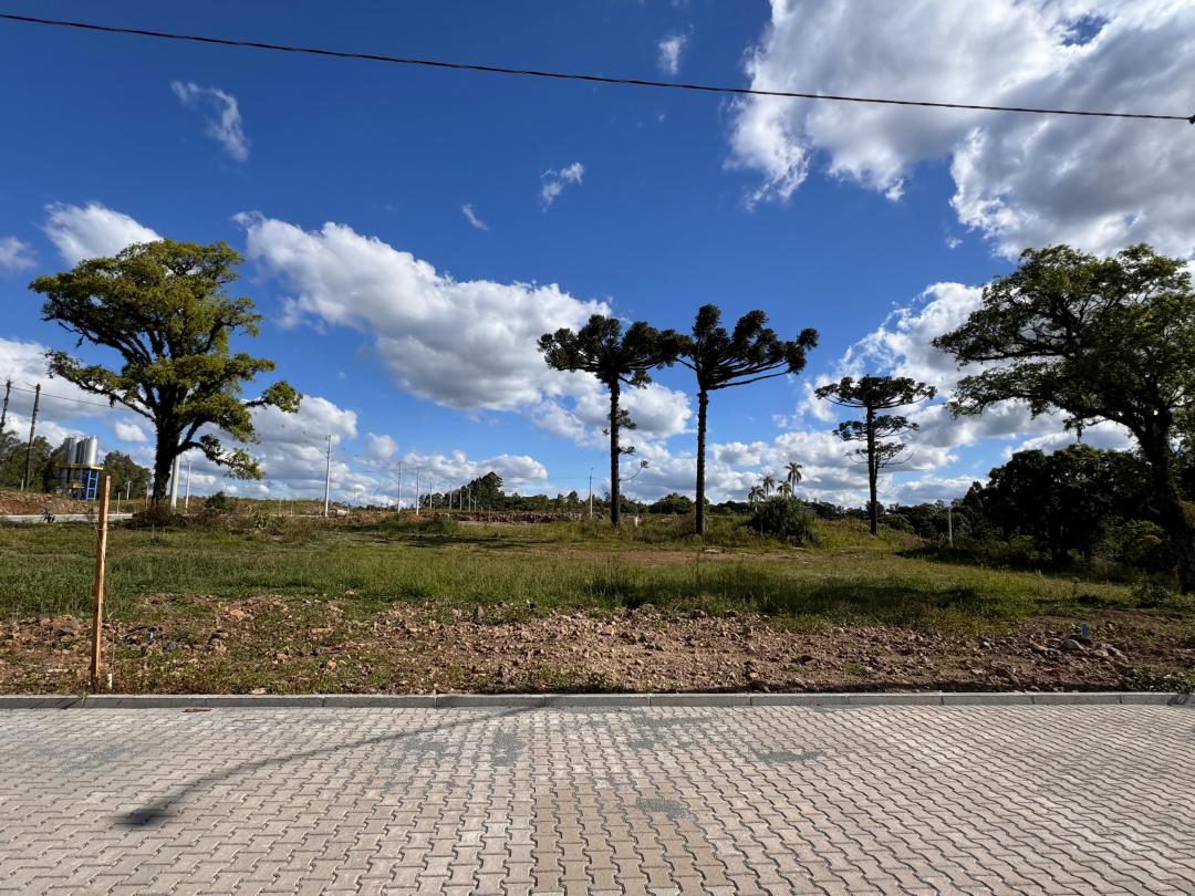 Banner Página