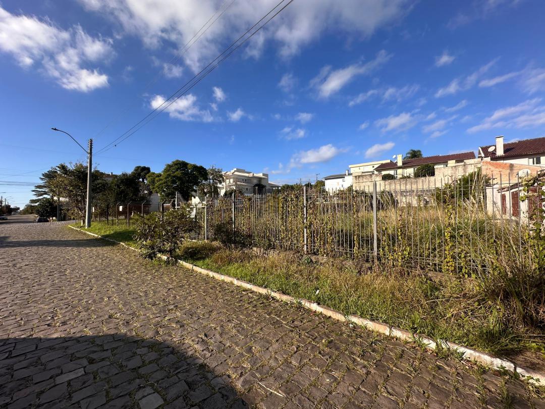 Banner Página