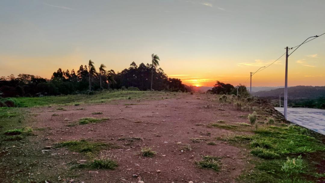 Banner Página