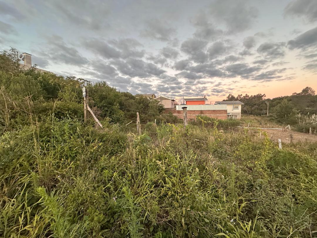 Banner Página