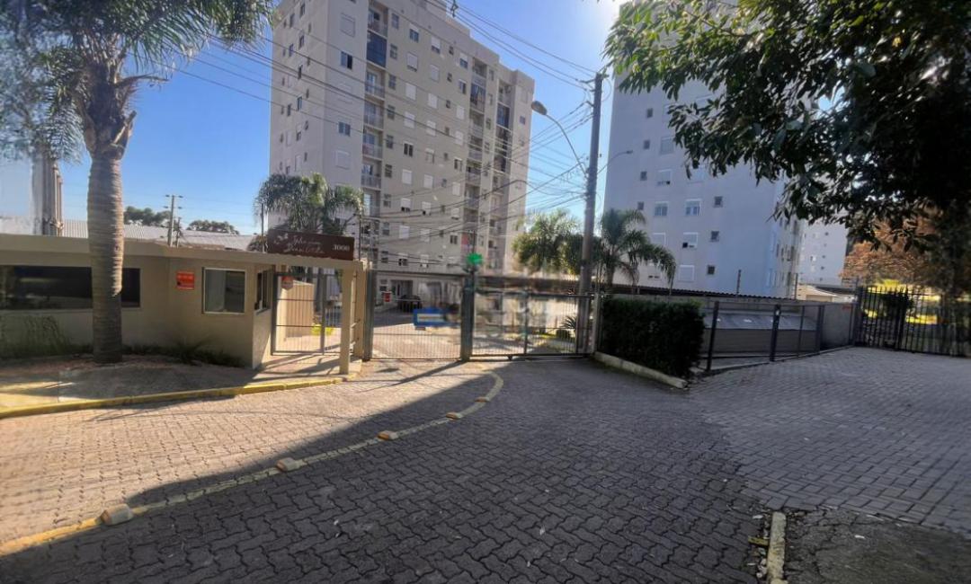 Banner Página