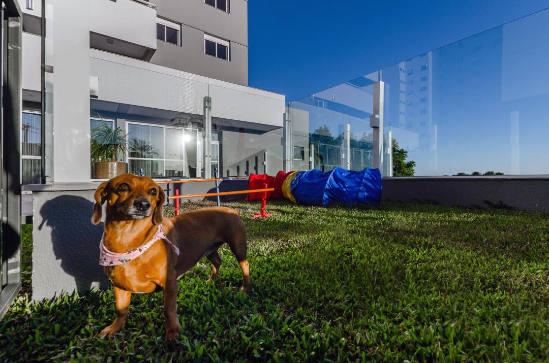 Banner Página