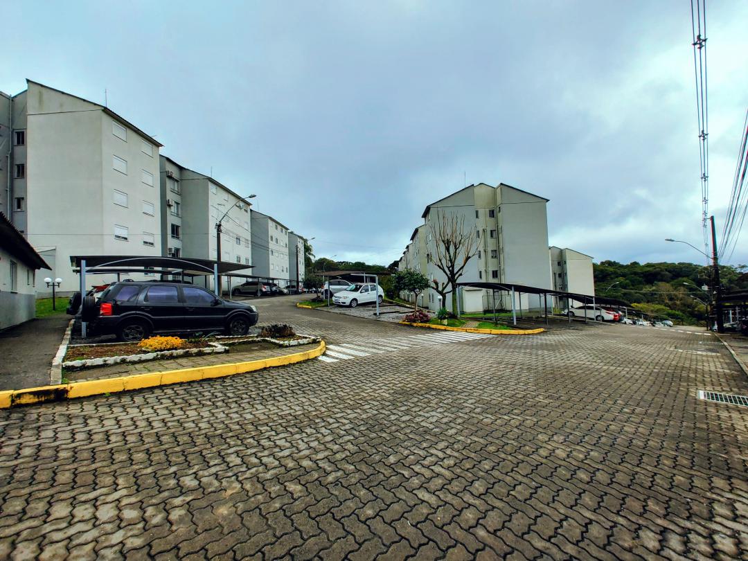 Banner Página