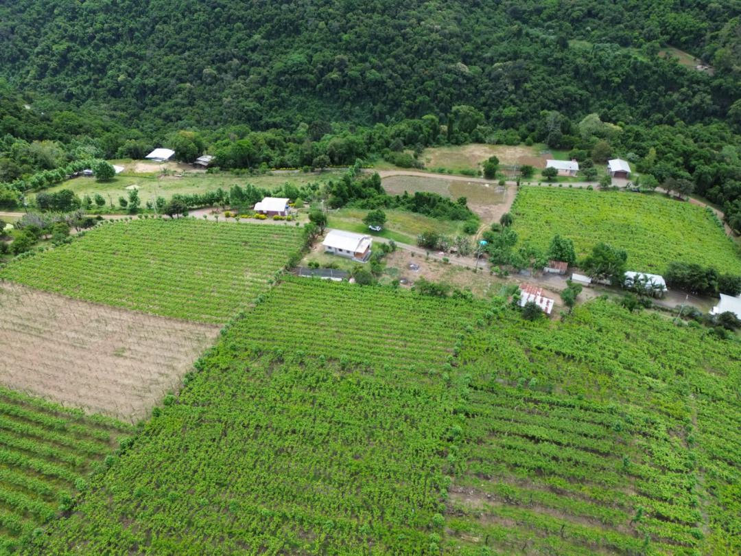 Banner Página