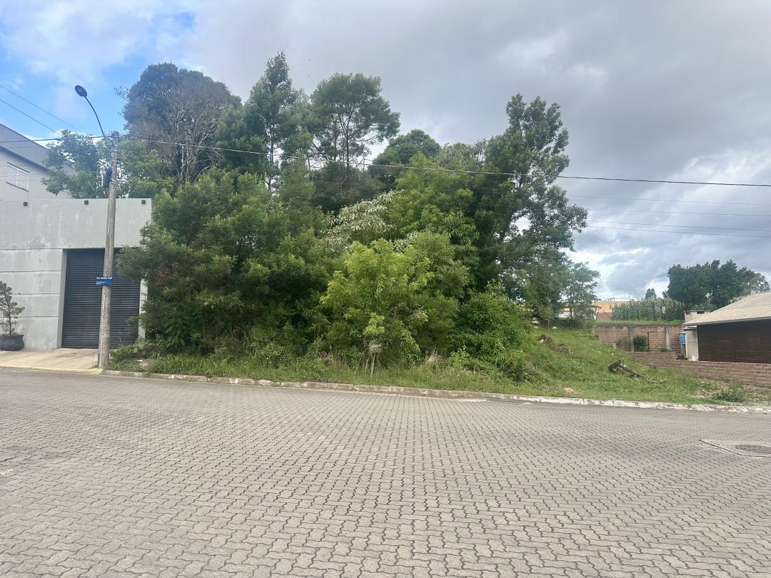 Banner Página
