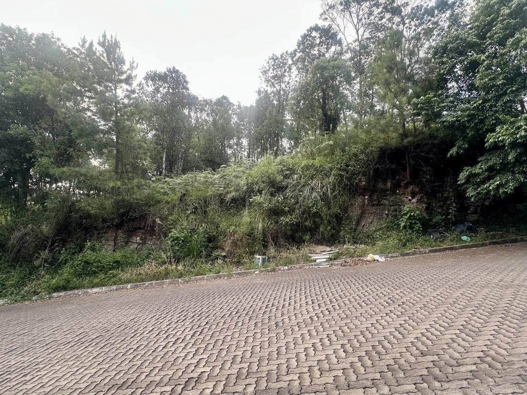 Banner Página